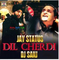 Dil Cherdi Jay Status, DJ Sanj mp3 song ringtone, Dil Cherdi Jay Status, DJ Sanj Ringtone Download - DjPunjab.Com.Mx