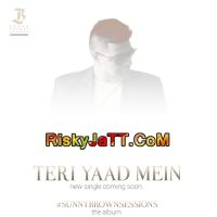 Teri Yaad Mein Sunny Brown mp3 song ringtone, Teri Yaad Mein Sunny Brown Ringtone Download - DjPunjab.Com.Mx