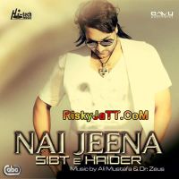 Jindh Sibt E Haider mp3 song ringtone, Nai Jeena Sibt E Haider Ringtone Download - DjPunjab.Com.Mx