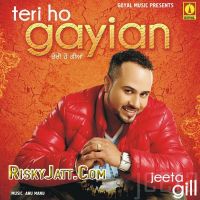 Mare Badkaan Jeeta Gill mp3 song ringtone, Teri Ho Gayian (2015) Jeeta Gill Ringtone Download - DjPunjab.Com.Mx