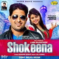 Shokeena Labh Rajasthani mp3 song ringtone, Shokeena Labh Rajasthani Ringtone Download - DjPunjab.Com.Mx