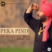 Peka Pind Navteg Mann, Sarbjeet Kaur mp3 song ringtone, Peka Pind Navteg Mann, Sarbjeet Kaur Ringtone Download - DjPunjab.Com.Mx
