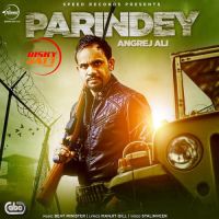 Parindey Angrej Ali mp3 song ringtone, Parindey Angrej Ali Ringtone Download - DjPunjab.Com.Mx