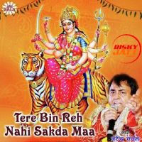 Dukh Ve Bathere Narendra Chanchal mp3 song ringtone, Tere Bin Reh Nahi Sakda Maa Narendra Chanchal Ringtone Download - DjPunjab.Com.Mx
