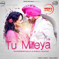Tu Milleya Kulwinder Kally, Gurlej Akhtar mp3 song ringtone, Tu Milleya Kulwinder Kally, Gurlej Akhtar Ringtone Download - DjPunjab.Com.Mx