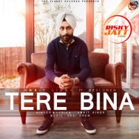 Tere Bina Amrit Singh mp3 song ringtone, Tere Bina Amrit Singh Ringtone Download - DjPunjab.Com.Mx