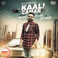 Kaali Camaro Amrit Maan mp3 song ringtone, Kaali Camaro Amrit Maan Ringtone Download - DjPunjab.Com.Mx