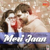 Meri Jaan Pankaj Ahuja mp3 song ringtone, Meri Jaan Pankaj Ahuja Ringtone Download - DjPunjab.Com.Mx