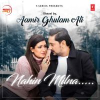 Nahin Milna Aamir Ghulam Ali mp3 song ringtone, Nahin Milna Aamir Ghulam Ali Ringtone Download - DjPunjab.Com.Mx