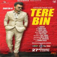 Tere Bin Sarthi K mp3 song ringtone, Tere Bin Sarthi K Ringtone Download - DjPunjab.Com.Mx