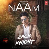 Tere Naam Zack Knight mp3 song ringtone, Tere Naam Zack Knight Ringtone Download - DjPunjab.Com.Mx