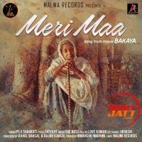 Meri Maa Peji Shahkoti mp3 song ringtone, Meri Maa Peji Shahkoti Ringtone Download - DjPunjab.Com.Mx