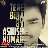 Tere Bina Ashish Kumar, Shubham mp3 song ringtone, Tere Bina Ashish Kumar, Shubham Ringtone Download - DjPunjab.Com.Mx