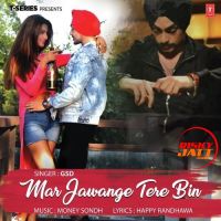 Mar Jawange Tere Bin GSD mp3 song ringtone, Mar Jawange Tere Bin GSD Ringtone Download - DjPunjab.Com.Mx