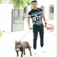 Dil Di Rani Armaan Bedil mp3 song ringtone, Dil Di Rani Armaan Bedil Ringtone Download - DjPunjab.Com.Mx