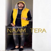 Naam Tera (Live) Pavii Ghuman mp3 song ringtone, Naam Tera (Live) Pavii Ghuman Ringtone Download - DjPunjab.Com.Mx