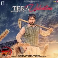 Tera Valentine Harry Hamraj mp3 song ringtone, Tera Valentine Harry Hamraj Ringtone Download - DjPunjab.Com.Mx