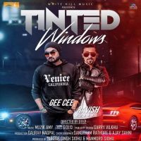 Tinted Windows Gee Cee, Ravish Khanna mp3 song ringtone, Tinted Windows Gee Cee, Ravish Khanna Ringtone Download - DjPunjab.Com.Mx
