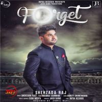 Forget Shehzada Raj mp3 song ringtone, Forget Shehzada Raj Ringtone Download - DjPunjab.Com.Mx