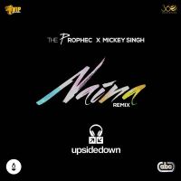 Naina (Upsidedown Remix) The Prophec, Mickey Singh mp3 song ringtone, Naina (Upsidedown Remix) The Prophec, Mickey Singh Ringtone Download - DjPunjab.Com.Mx