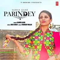 Parindey Samer Kaur mp3 song ringtone, Parindey Samer Kaur Ringtone Download - DjPunjab.Com.Mx