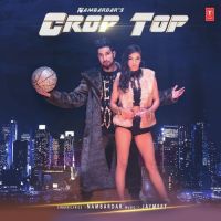 Crop Top Nambardar mp3 song ringtone, Crop Top Nambardar Ringtone Download - DjPunjab.Com.Mx