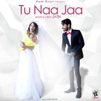 Tu Naa Jaa Jatin mp3 song ringtone, Tu Naa Jaa Jatin Ringtone Download - DjPunjab.Com.Mx