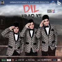 Dil Haar Ke Ali Brothers mp3 song ringtone, Dil Haar Ke Ali Brothers Ringtone Download - DjPunjab.Com.Mx