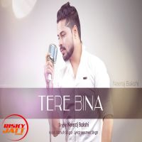Tere Bina Neeraj Bakshi mp3 song ringtone, Tere Bina Neeraj Bakshi Ringtone Download - DjPunjab.Com.Mx