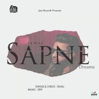 Sapne Sehal mp3 song ringtone, Sapne Sehal Ringtone Download - DjPunjab.Com.Mx