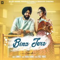 Bina Tere Sunmeet mp3 song ringtone, Bina Tere Sunmeet Ringtone Download - DjPunjab.Com.Mx