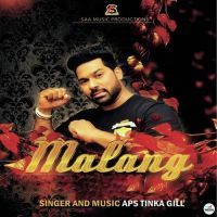 Malang APS Tinka Gill mp3 song ringtone, Malang APS Tinka Gill Ringtone Download - DjPunjab.Com.Mx