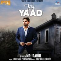 Teri Yaad Mr Rahul mp3 song ringtone, Teri Yaad Mr Rahul Ringtone Download - DjPunjab.Com.Mx