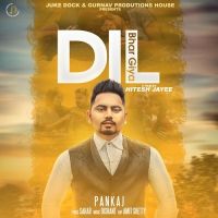 Dil Bhar Giya Pankaj, Amit Shetty mp3 song ringtone, Dil Bhar Giya Pankaj, Amit Shetty Ringtone Download - DjPunjab.Com.Mx