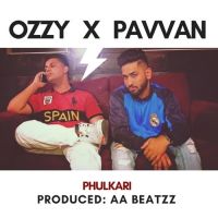 Phulkari X OZZY (Cover) Pavvan Singh mp3 song ringtone, Phulkari X OZZY (Cover) Pavvan Singh Ringtone Download - DjPunjab.Com.Mx