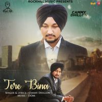 Tere Bina Cammy Dhillon mp3 song ringtone, Tere Bina Cammy Dhillon Ringtone Download - DjPunjab.Com.Mx