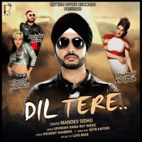 Dil Tere Mandev Sidhu, Shalmali Kholgade mp3 song ringtone, Dil Tere Mandev Sidhu, Shalmali Kholgade Ringtone Download - DjPunjab.Com.Mx