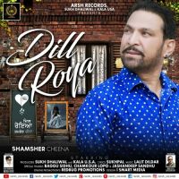 Dill Roya Shamsher Cheena mp3 song ringtone, Dill Roya Shamsher Cheena Ringtone Download - DjPunjab.Com.Mx