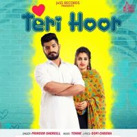 Teri Hoor Prinoor Shergill mp3 song ringtone, Teri Hoor Prinoor Shergill Ringtone Download - DjPunjab.Com.Mx