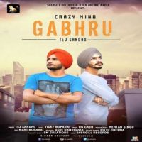 Gabhru Tej Sandhu mp3 song ringtone, Crazy Mind Gabhru Tej Sandhu Ringtone Download - DjPunjab.Com.Mx