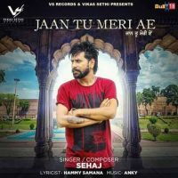 Jaan Tu Meri Ae Sehaj mp3 song ringtone, Jaan Tu Meri Ae Sehaj Ringtone Download - DjPunjab.Com.Mx