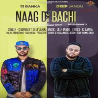 Naag Di Bachi Banka, Deep Jandu mp3 song ringtone, Naag Di Bachi Banka, Deep Jandu Ringtone Download - DjPunjab.Com.Mx