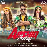 Aashiq Saarey Nawaab Saab mp3 song ringtone, Aashiq Saarey Nawaab Saab Ringtone Download - DjPunjab.Com.Mx