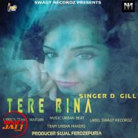 Tere bina D Gill mp3 song ringtone, Tere bina D Gill Ringtone Download - DjPunjab.Com.Mx