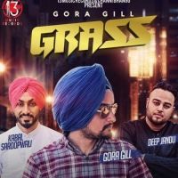 Grass Gora Gill mp3 song ringtone, Grass Gora Gill Ringtone Download - DjPunjab.Com.Mx