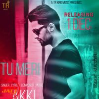 Tu Meri Akki mp3 song ringtone, Tu Meri Akki Ringtone Download - DjPunjab.Com.Mx