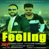 Feeling Ginnu Gill mp3 song ringtone, Feeling Ginnu Gill Ringtone Download - DjPunjab.Com.Mx