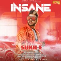 Insane Sukh E Muzical Doctorz mp3 song ringtone, Insane Sukh E Muzical Doctorz Ringtone Download - DjPunjab.Com.Mx