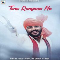 Tere Rangaan Ne Sai Sultan mp3 song ringtone, Tere Rangaan Ne Sai Sultan Ringtone Download - DjPunjab.Com.Mx