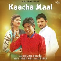 Kaacha Maal Deepak Mor, Rekha Garg mp3 song ringtone, Kaacha Maal Deepak Mor, Rekha Garg Ringtone Download - DjPunjab.Com.Mx